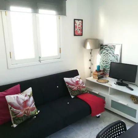 Daire Estudio De Plaza Del Carmen